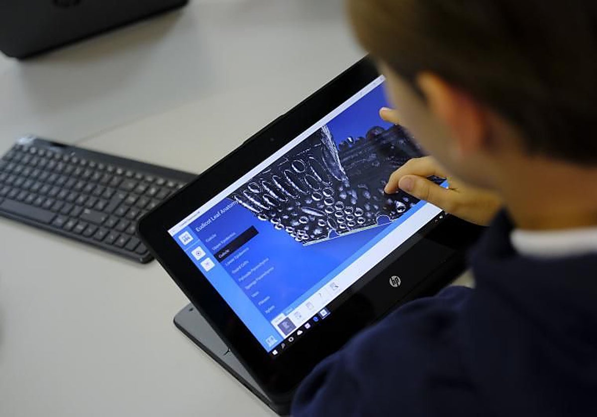 Madrid elimina el uso individual de los dispositivos digitales en los colegios en Educación Infantil y Primaria