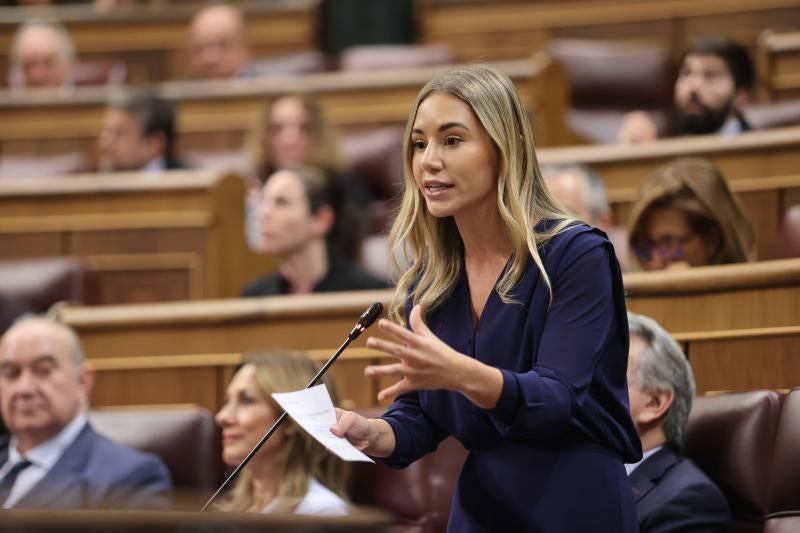 La vicesecretaria de Movilización y Reto Digital del Partido Popular, Noelia Núñez, durante una intervención en el Congreso