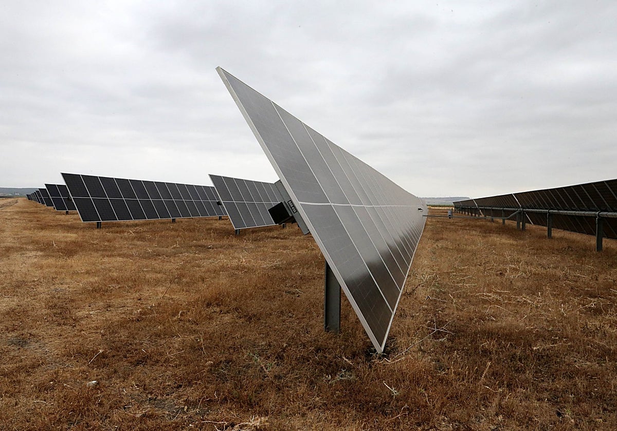 Paneles fotovoltaicos