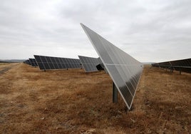 El TSJA anula la licencia para el parque fotovoltaico entre Bujalance y Montoro