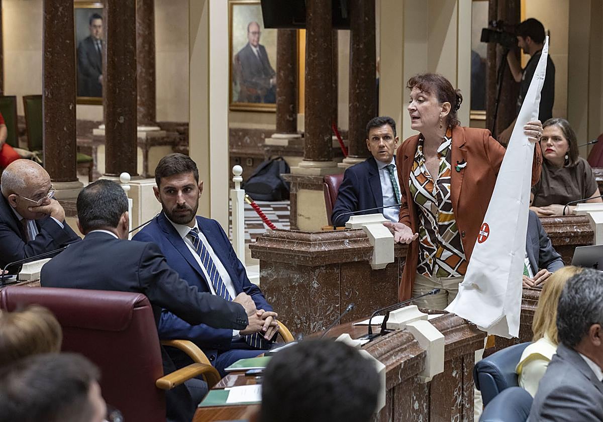 Vox se querella contra una diputada de Podemos Murcia que entregó a su ...