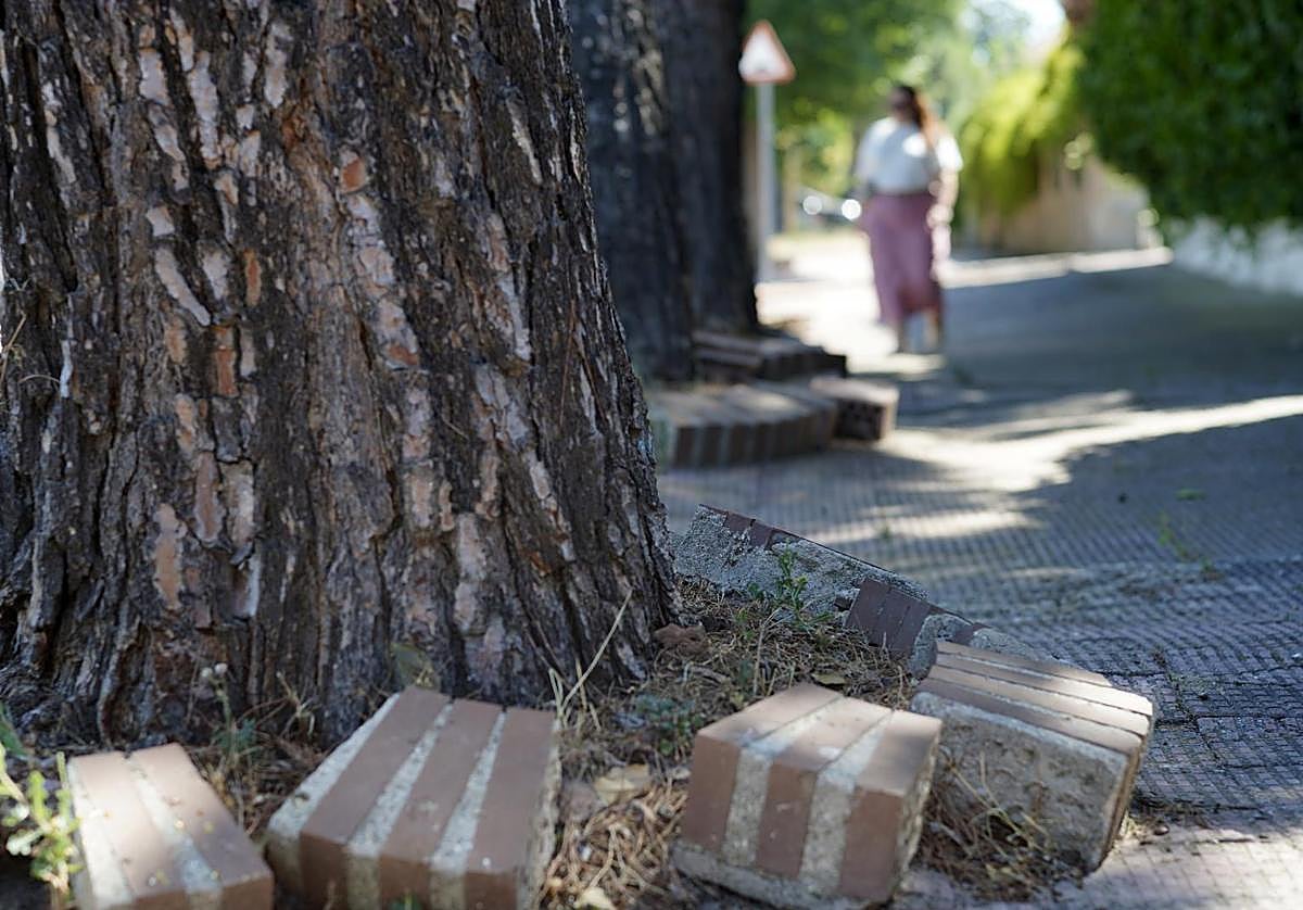 Losetas rotas en el barrio de Campodón, Alcorcón