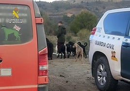 Investigan a los dueños de un santuario de animales por maltrato y abandono en Almería