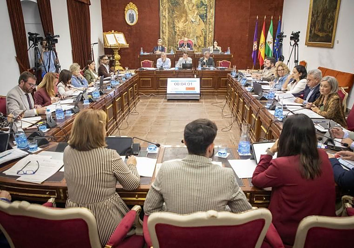 Sesión plenaria en la Diputación Provincial de Córdoba hace unos meses