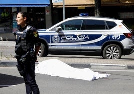 Condenan a 14,5 años de cárcel al kamikaze que mató a dos ancianos en el Paseo de Extremadura
