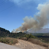 Estabilizado el incendio forestal en Tenerife