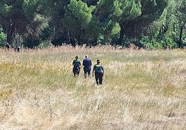 Hallan el cuerpo de la mujer de 35 años que buscaba la Guardia Civil en el entorno de Peñafiel (Valladolid)