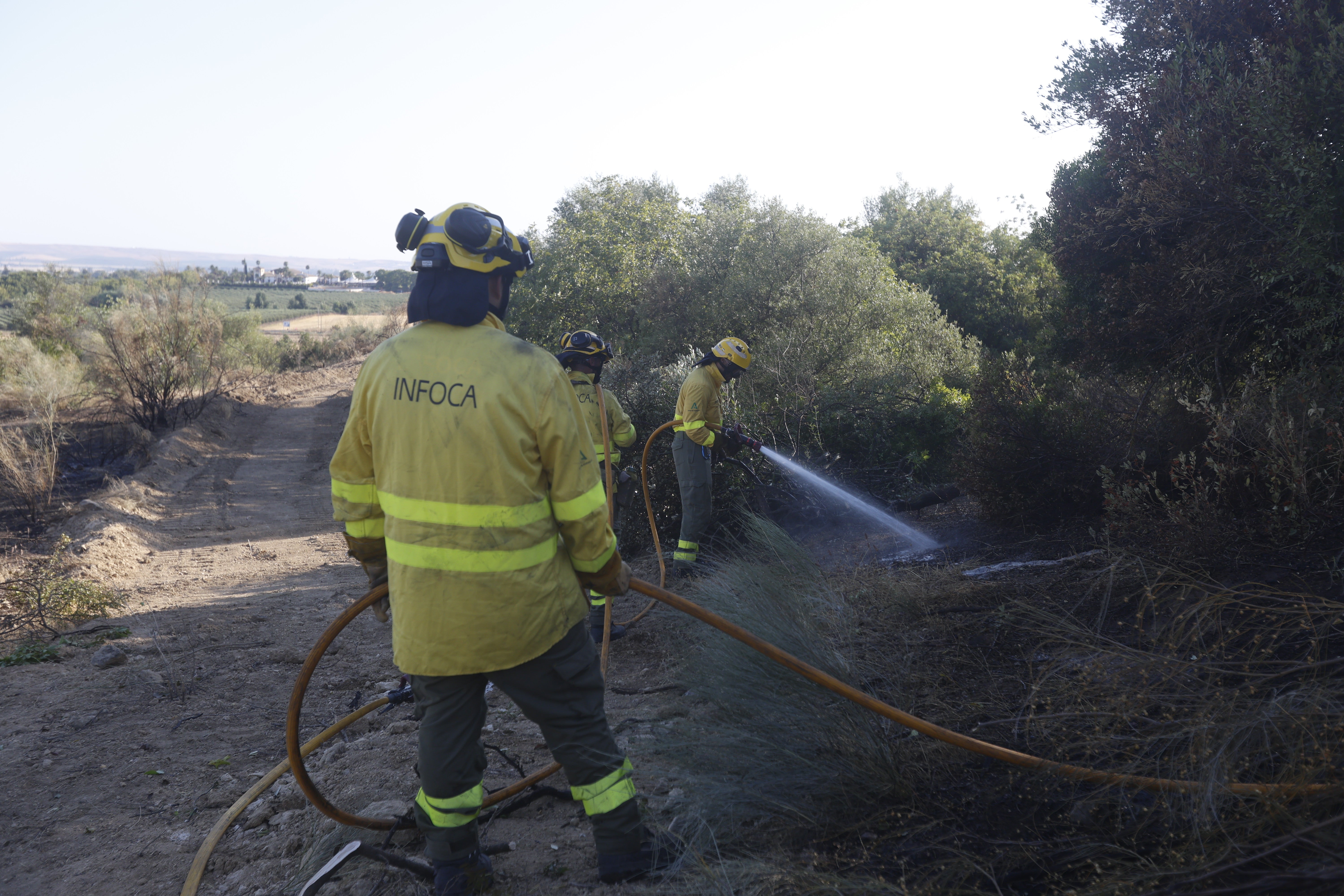 Efectivos del Infoca refrescan la zona donde han brotado las llamas en la Albaida