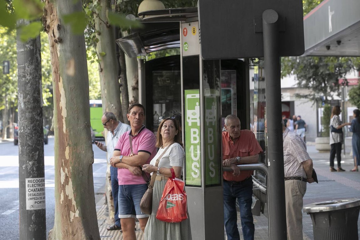 Viajeros en los autobuses de Aucorsa, en imágenes
