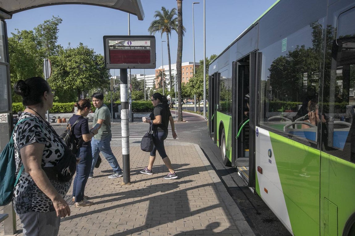 Viajeros en los autobuses de Aucorsa, en imágenes
