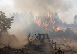 Impotencia en el Valle del Tiétar por otro gran incendio 16 años después