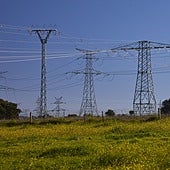 Mueren electrocutados dos trabajadores cuando podaban árboles en Calatayud