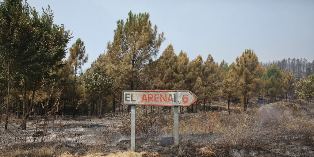 El incendio del Tiétar ya no presenta llama en todo su perímetro de 25 kilómetros