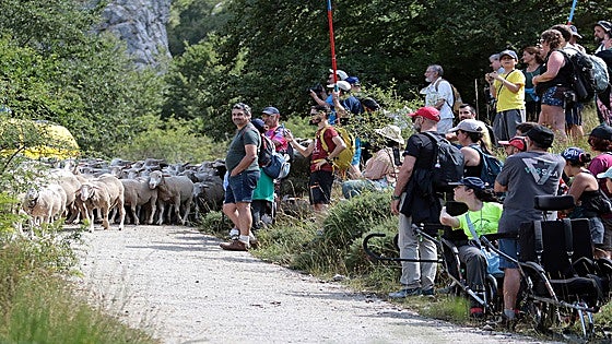 Caminos trashumantes: de rutas tradicionales a atractivo turístico