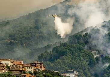 Frenan el avance del incendio del Tiétar y se trabaja para evitar reproducciones