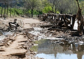 El Ayuntamiento de Toledo licita la reparación de 750 metros cuadrados de la senda dañados por la crecida del Tajo en marzo
