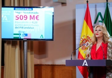 Carolina España, en la rueda de prensa posterior al Consejo de Gobierno.