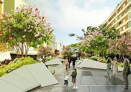 Año y medio para transformar el corazón de Goya