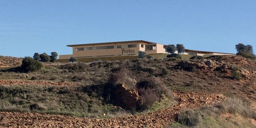 Protos invertirá 16 millones de euros en su nueva bodega en la ribera del Duero de Soria