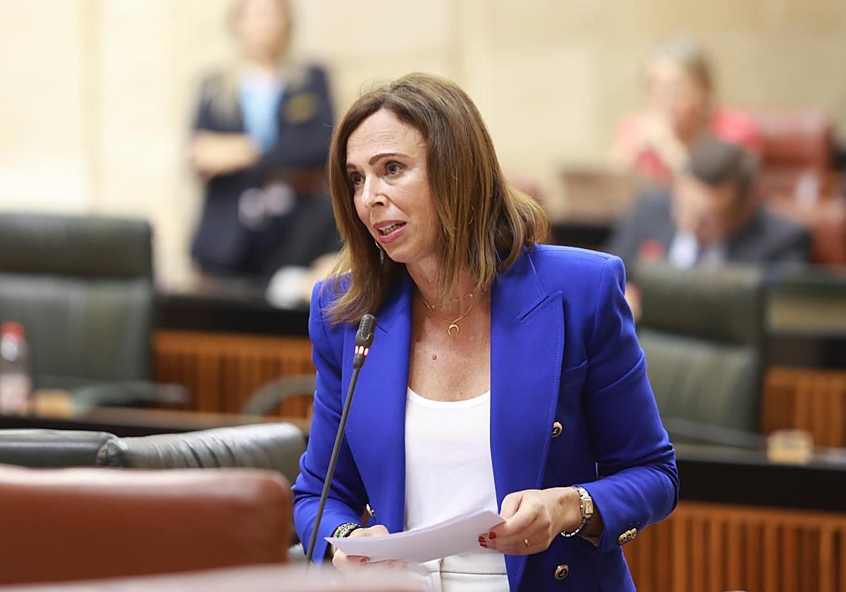 La consejera de Fomento, Rocío Díaz, en el Parlamento andaluz