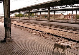 ¿Qué conocido actor aprovechó el descanso de un rodaje para comer en pleno Casco histórico de Toledo?