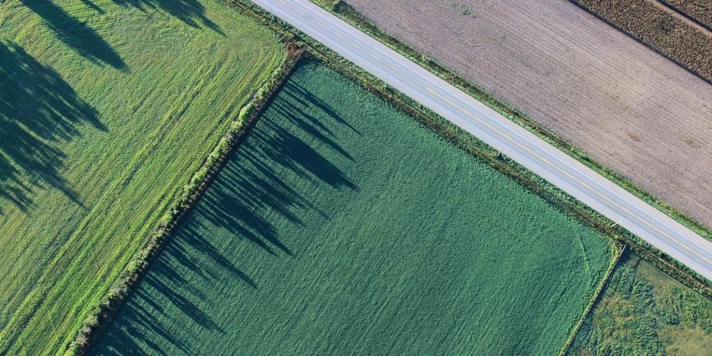El Gobierno regional adquiere más de 24.700 documentos fotográficos de Castilla-La Mancha