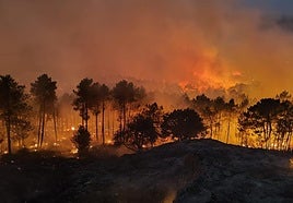 El incendio de Ávila obliga a desalojar a vecinos de Las Navas del Marqués y a suspender la circulación de trenes