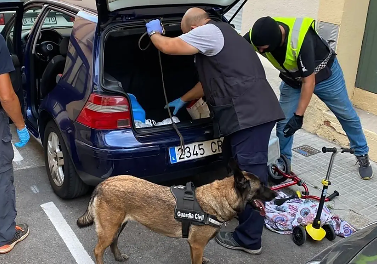Agentes de la Guardia Civil y perros de detección de droga en foto  de archivo