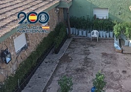 Una inspección a un desguace clandestino de coches descubre 212 plantas de marihuana
