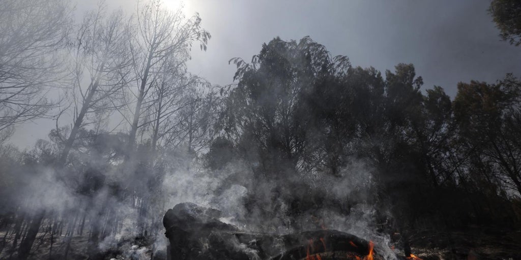 Bomberos y agricultores tratan de «anclar» el incendio en Carcastillo (Navarra), que se inició por la «acción humana»