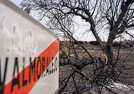 El incendio de Navalmoralejo arrasa 3.000 hectáreas, la inmensa mayoría en la provincia de Cáceres