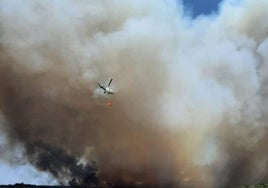 El 'éxodo' por la arena de la playa de los desalojados en Zahara por los incendios