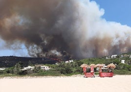Un nuevo incendio forestal pone en jaque a Tarifa