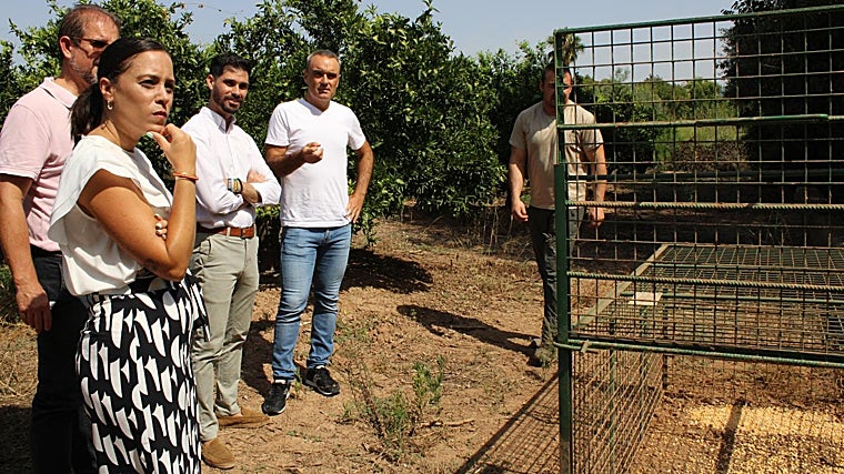 Visita de responsables munciipales de Castellón a las jaulas instaladas para cazar jabalíes