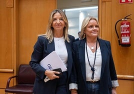 El PP alerta de que los homenajes a ETA se disparan en verano ante la «dejación» del Gobierno