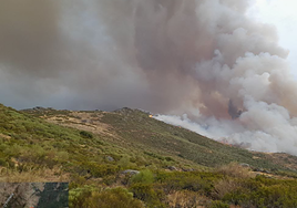 Cadena de fuego en Extremadura: la región mantiene activos 5 incendios y pide la intervención de la UME