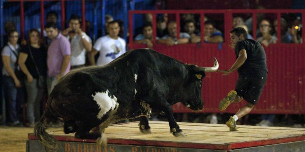 Piden cambiar el horario de eventos taurinos en pueblos de la Comunidad Valenciana por el calor