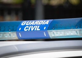 Cultivaba más de 1.500 plantas de marihuana en un invernadero de Granada en el que maltrataba «de forma evidente» a su perro