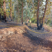 Los Bomberos de Tenerife intervienen en hasta cinco incendios en las últimas horas