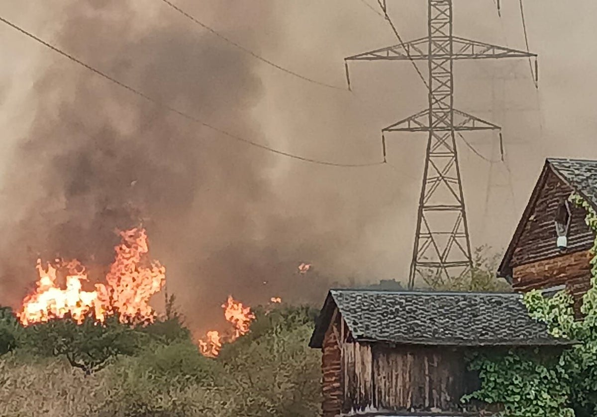 Llamas en las cercanía de una casas, en Las Médulas