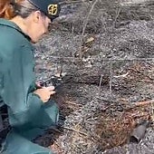 Una foto ayuda a cazar a la autora de cuatro incendios en La Coruña: es vecina de la zona y tiene 63 años