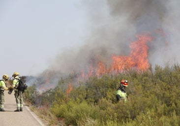 La previsión de fuertes vientos y tormentas secas complica la lucha contra los incendios en Castilla y León