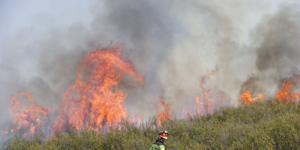 Cuatro de los heridos en los incendios de Zamora y León se encuentran ...