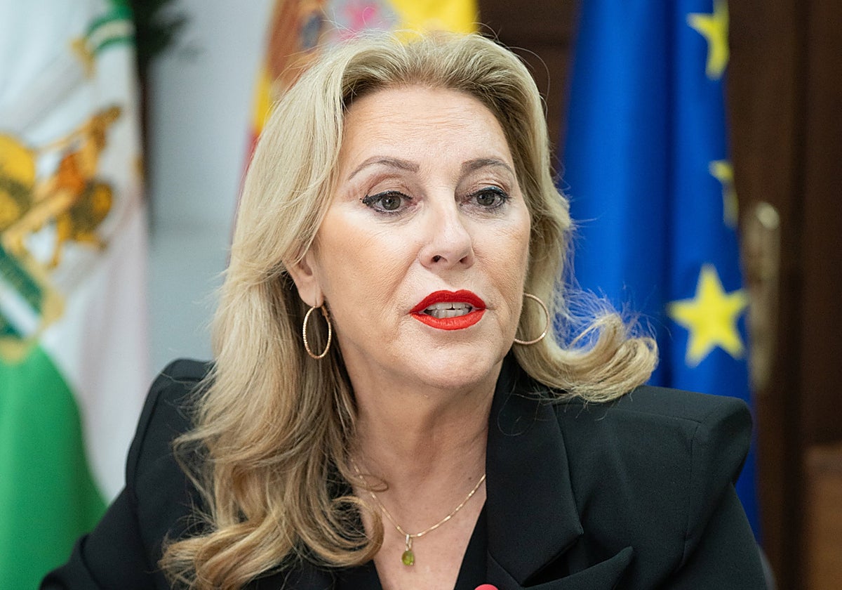 La consejera de Economía, Hacienda y Fondos Europeos y portavoz del Gobierno andaluz, Carolina España