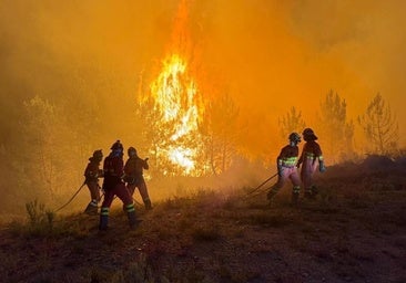 El fuego de Zamora y León, camino de convertirse en el peor de España