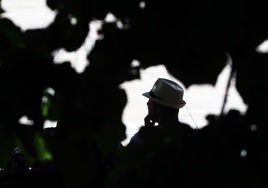 Andalucía alcanzó este miércoles la punta de demanda de electricidad este verano con 7.300 MW