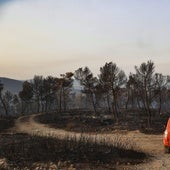 Imagen del terreno calcinado por el incendio en Teresa de Cofrentes
