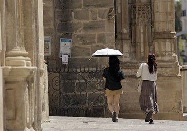 El 112 recuerda la importancia de no salir a la calle en las horas de más calor