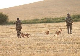 La temporada de la media veda comienza «mejor de lo esperado» en Castilla y León