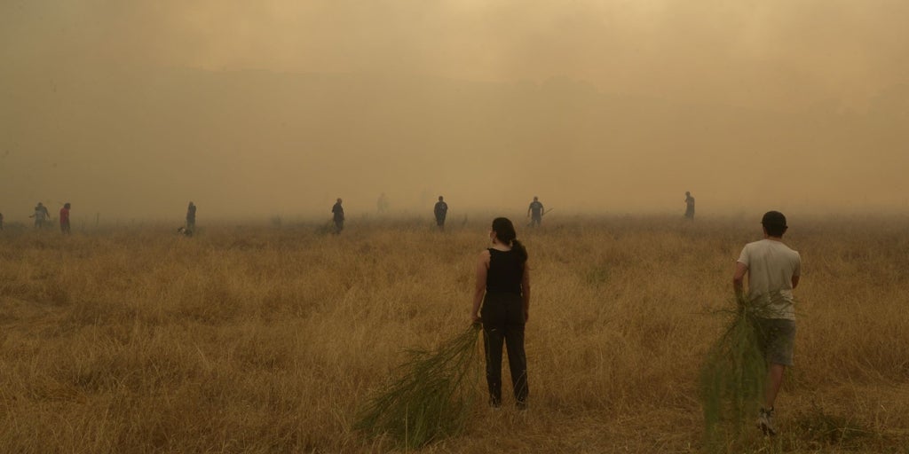 Galicia pide al Gobierno todos los recursos disponibles para hacer frente a los incendios